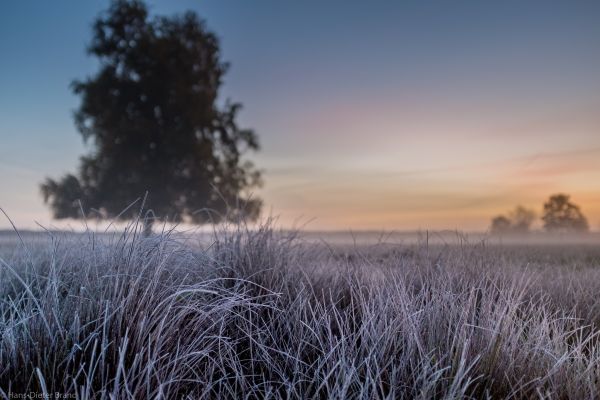 bokeh,geolocation,geocity,exif make fujifilm,camera make fujifilm,geocountry