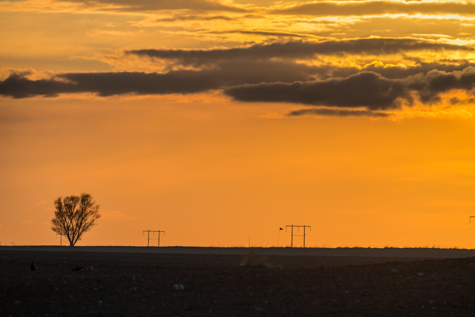 sunlight, landscape, sunset, sea, sky, sunrise, evening, morning, Sun, horizon, atmosphere, dusk, cloud, dawn, himmel, solnedg ng, countryside, moln, landsbygd, s dersl tt, landskap, atmospheric phenomenon, afterglow, red sky at morning