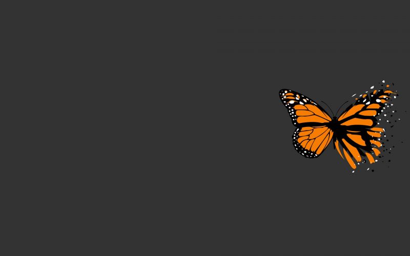 wings,butterfly,illustration,digital art,simple background,minimalism