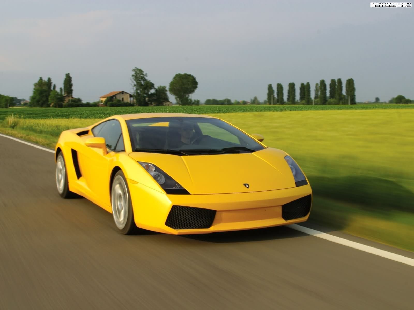 auto, vozidlo, silnice, Lamborghini, Lamborghini Gallardo, sportovní auto, Lamborghini Murcielago, žlutých vozů, výkon auta, kolo, superauto, pozemní vozidla, automobilového designu, automobil make, luxusní vůz