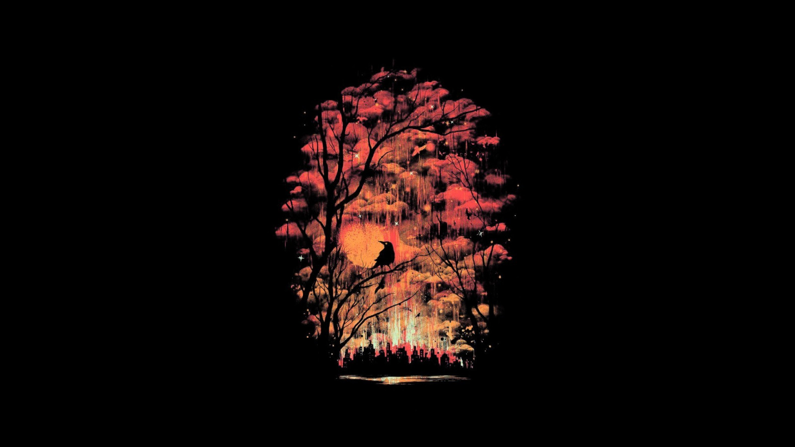 ptactvo, minimalismus, ohňostroj, událost, osvětlení, plamen, tma, 1920x1080 px