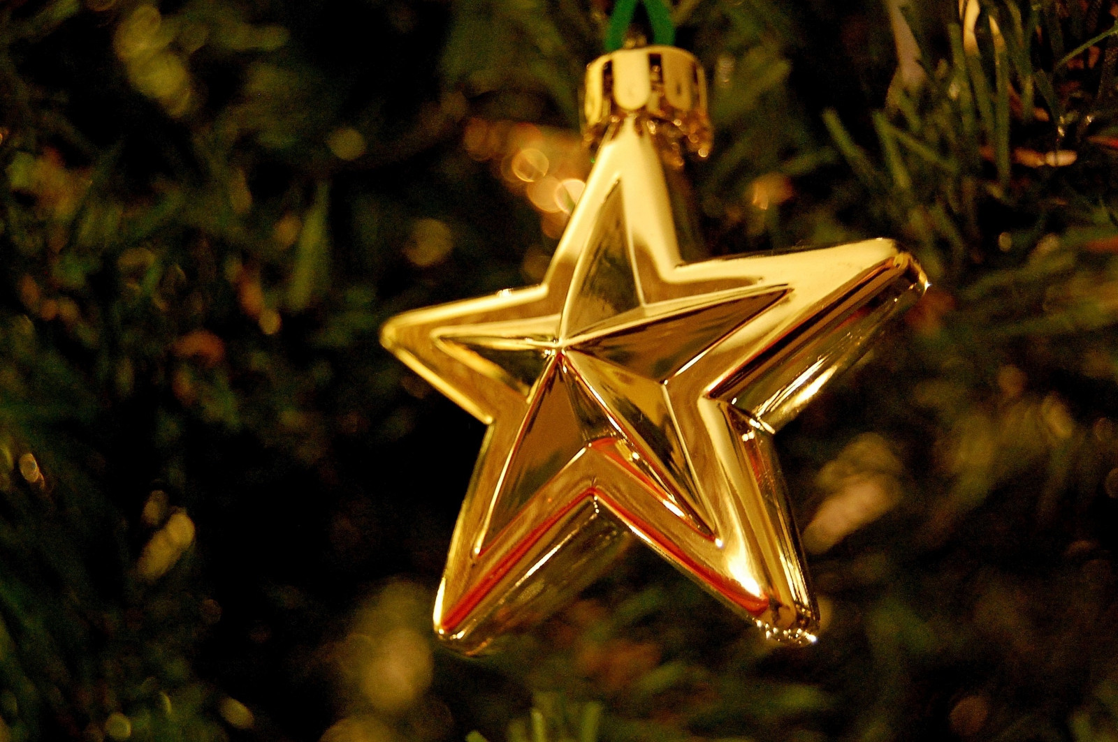 mørk, by, skygge, tæt på, makro, magi, snemand, Juletræ, jul, guld, lyse, klokke, ornament, santa, skarp, begivenhed, skarphed, Fokus, lys, træ, blinkagain, til stede, xmas, baggrund, belysning, farve, sløring, ornamenter, detalje, stjerne, farver, 1001nights, 1001nightsmagiccity, afgrøde, magiccity, nætter, juledekoration, 1001, beskæring, briks, christmas ornament