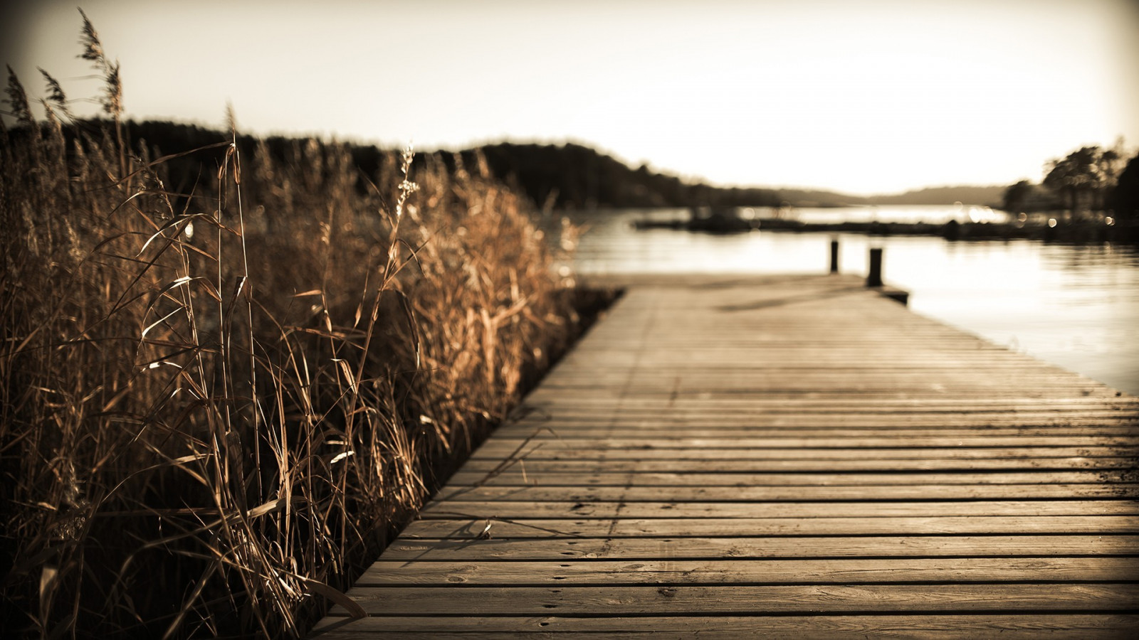 sollys, monokrom, solnedgang, vand, natur, afspejling, træ, aften, morgen, mole, dok, lys, efterår