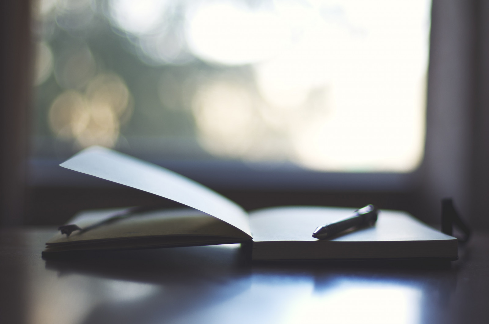 světlo, Moleskine, okno, psaní, zápisník, 50mm, dof, bokeh, Neděle, 365, jednoduchý, nápady, day189, shallowdof, project365, 365 dnů