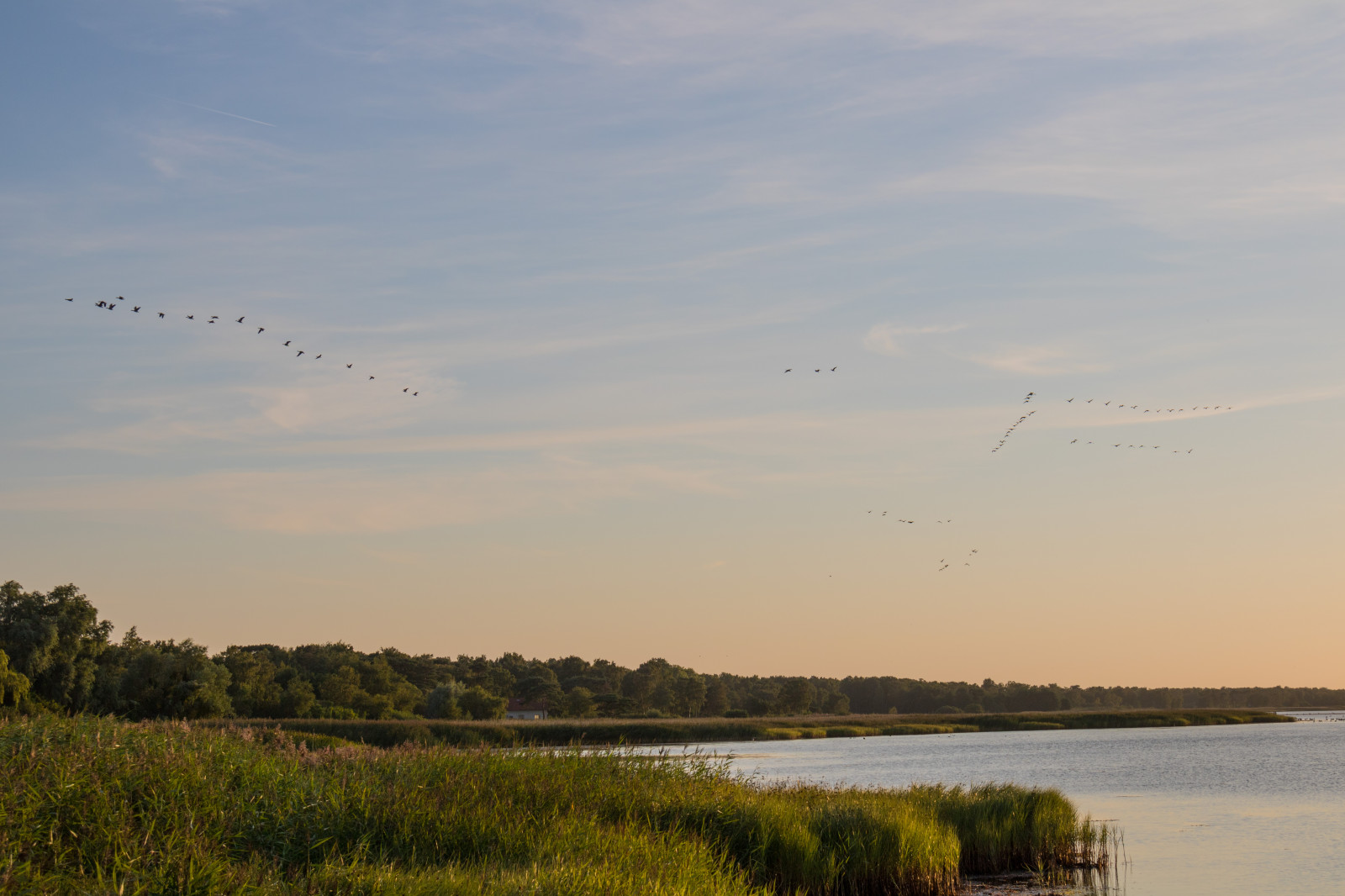 západ slunce, moře, jezero, voda, Příroda, pobřeží, nebe, svítání, večer, ráno, pobřeží, řeka, horizont, soumrak, mokřadní, mrak, svítání, nebe, vatten, hav, moln, exif modelu canoneos760d, geocountry, Kamera aby kánon, geocity, Model fotoaparátu canoneos760d, geostate, geolocation, EXIF čočka efs18200mmf3556is, exif aby kánon, EXIF isospeed 100, EXIF otvor 10, exif focallength 40mm, falsterbokanalen, prérie, bažina, místo výskytu, přírodní prostředí, atmosférický jev