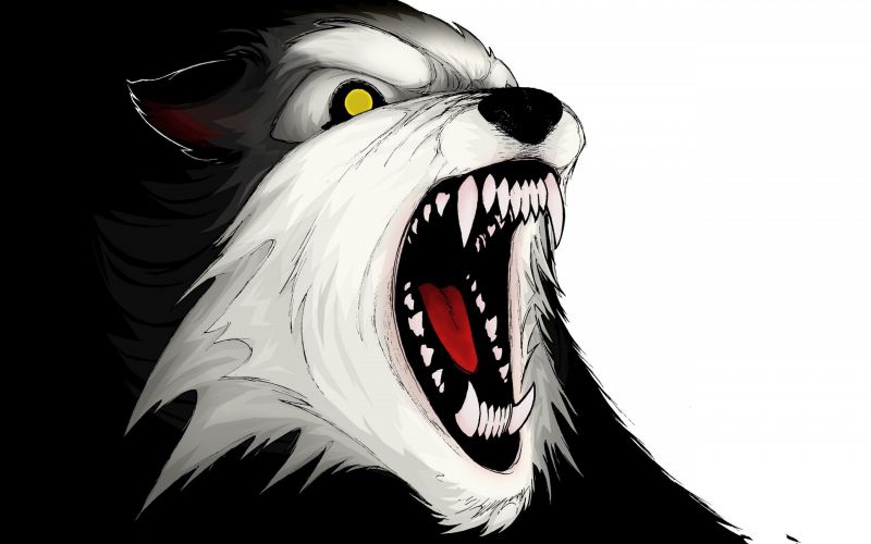 drawing, illustration, cartoon, wolf, monochrome, anime drawing, illustration, cartoon, wolf, monochrome, anime