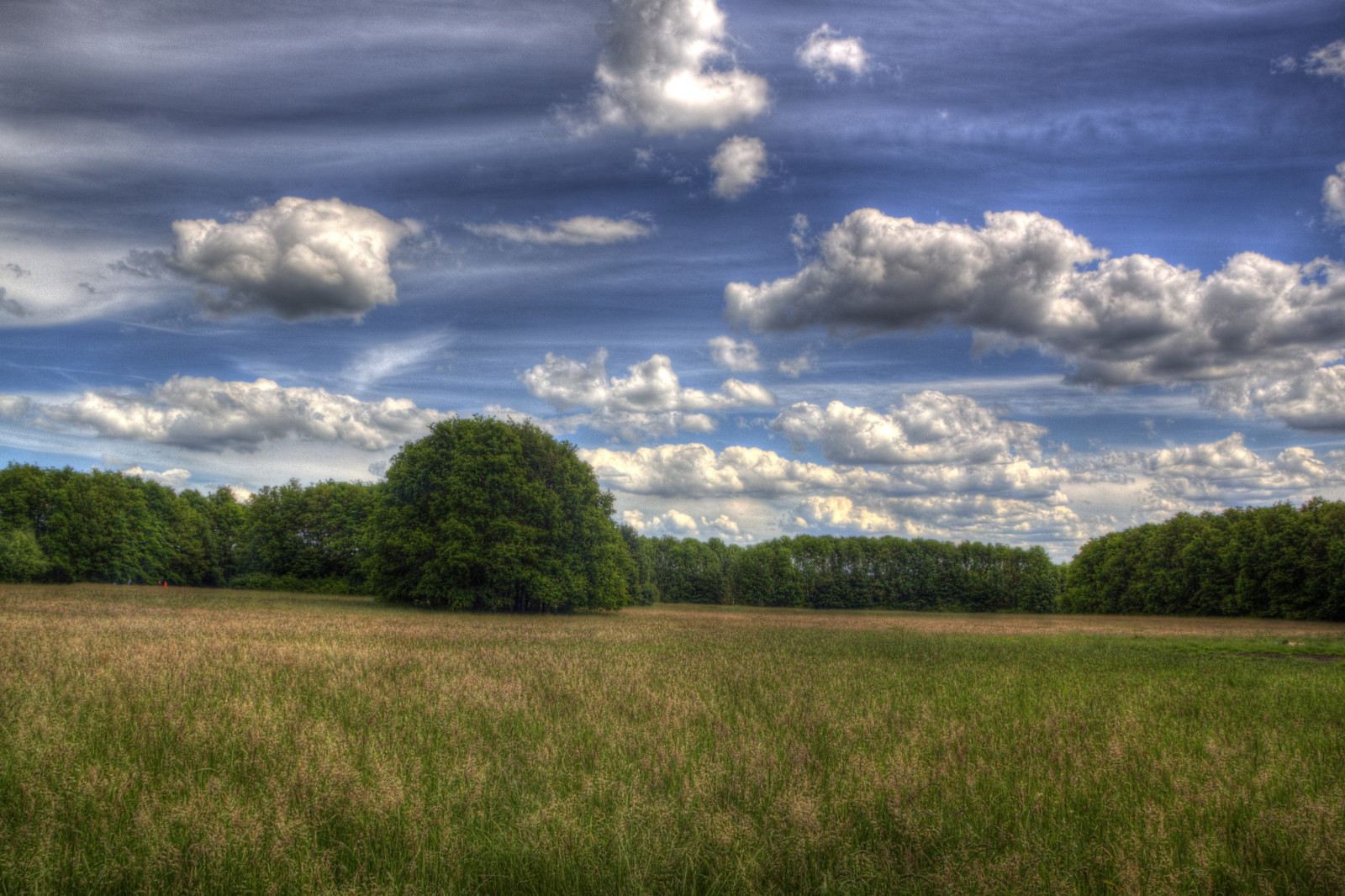 slunečnímu záření, krajina, kopec, Příroda, tráva, nebe, pole, mraky, ráno, Německo, slunce, horizont, jaro, 2014, světlo, mrak, Krásná, strom, zakalený, den, Landschaft, lučina, sezóna, barva, nebe, venkov, natur, pastvina, zemědělství, louka, Soleil, ciel, mraky, prostý, mraky, syn, licht, Photomatix, zpracovává se, kapesní, trávník, westfalen, Ostwestfalen, prérie, smět, venkov, místo výskytu, přírodní prostředí, ekosystém, tráva rodina, meteorologický jev