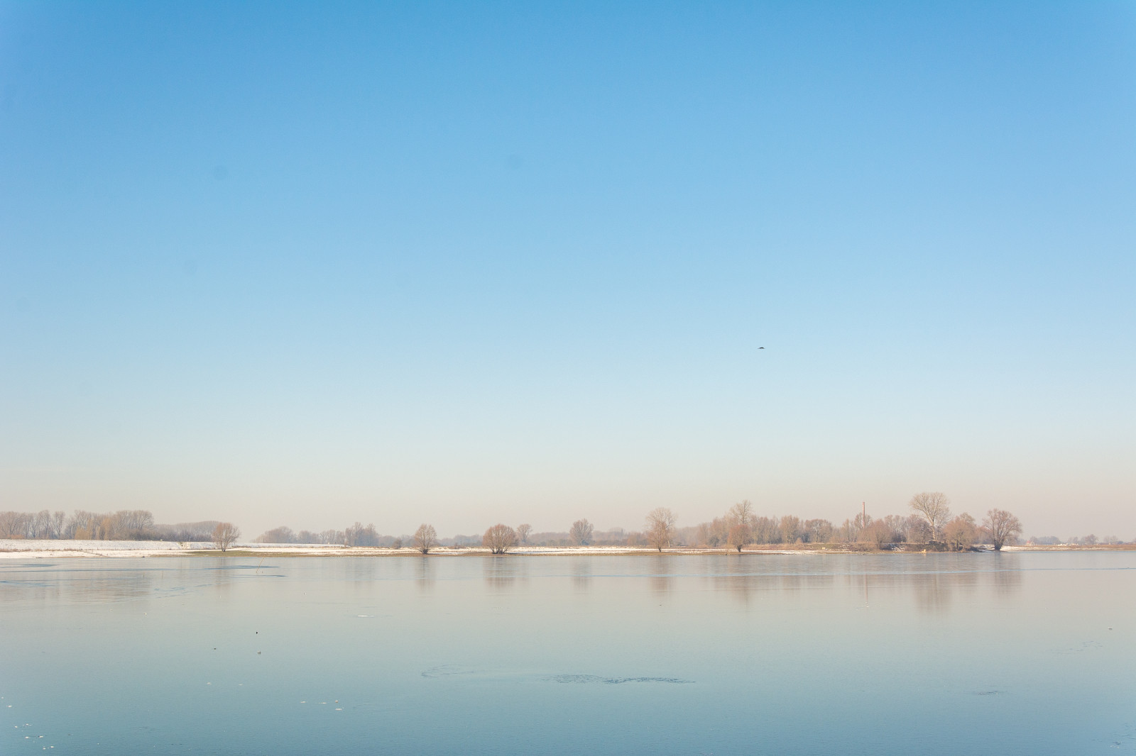 stromy, krajina, moře, záliv, jezero, voda, Příroda, pobřeží, odraz, nebe, sníh, zima, panoráma, led, večer, ráno, mráz, řeka, horizont, Nizozemí, soumrak, mokřadní, svítání, odrazy, nl, minimální, nádrž, nederland, jezírka, Gelderland, natuur, Beuningen, Bomen, bažina, atmosférický jev, tělo z vody, reflectyourworld, nederlandvandaag, grindgat, Weurt