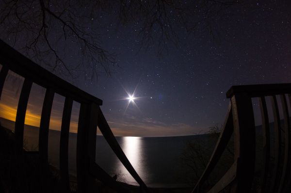 trees, night, sky, stars, water, space