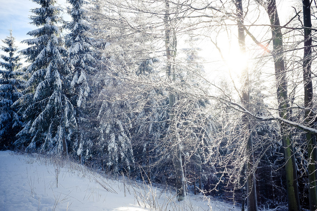 modrý, Schnee, stromy, zima, západ slunce, nebe, slunce, Měsíc, sníh, strom, led, barvy, mraky, kontrast, Německo, deutschland, abend, mond, zamrzlý, intenzivní, ast, větev, sonnenuntergang, forrest, ngc, mraky, jedle, nRW, eis, syn, Wald, baum, Fichte, Farben, Tanne, Sauerland, Winterberg, westfalen, Asten, Kahler, intensiv, Olsberg, Altastenberg