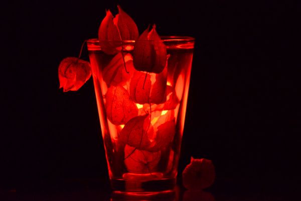 red,stilllife,blackbackground,lightsandshadows,passion,Hintergrund