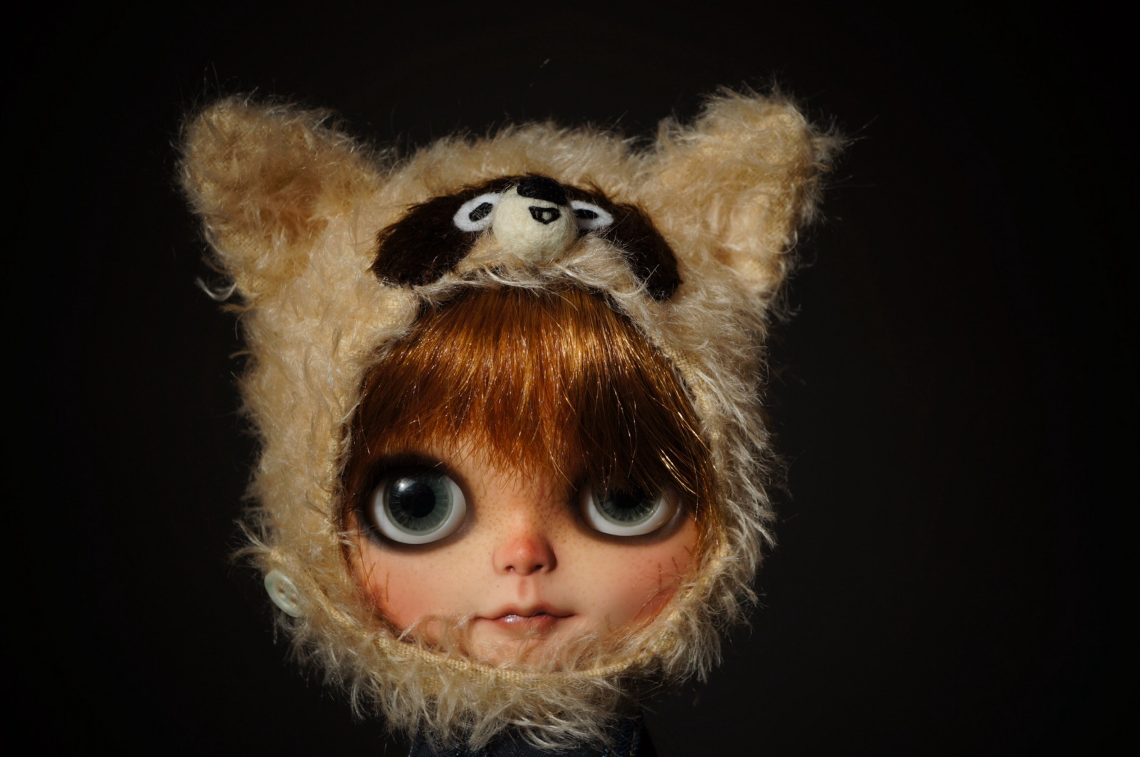 medve, kalap, sisak, Blythe, mosómedve, szokás, Mimsy, sammydoe