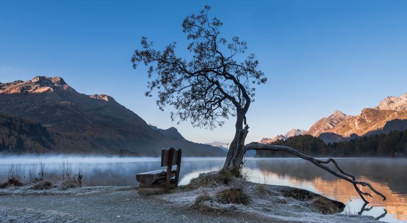 bancă, copaci, în aer liber, peisaj, natură, munţi bancă, copaci, în aer liber, peisaj, natură, munţi