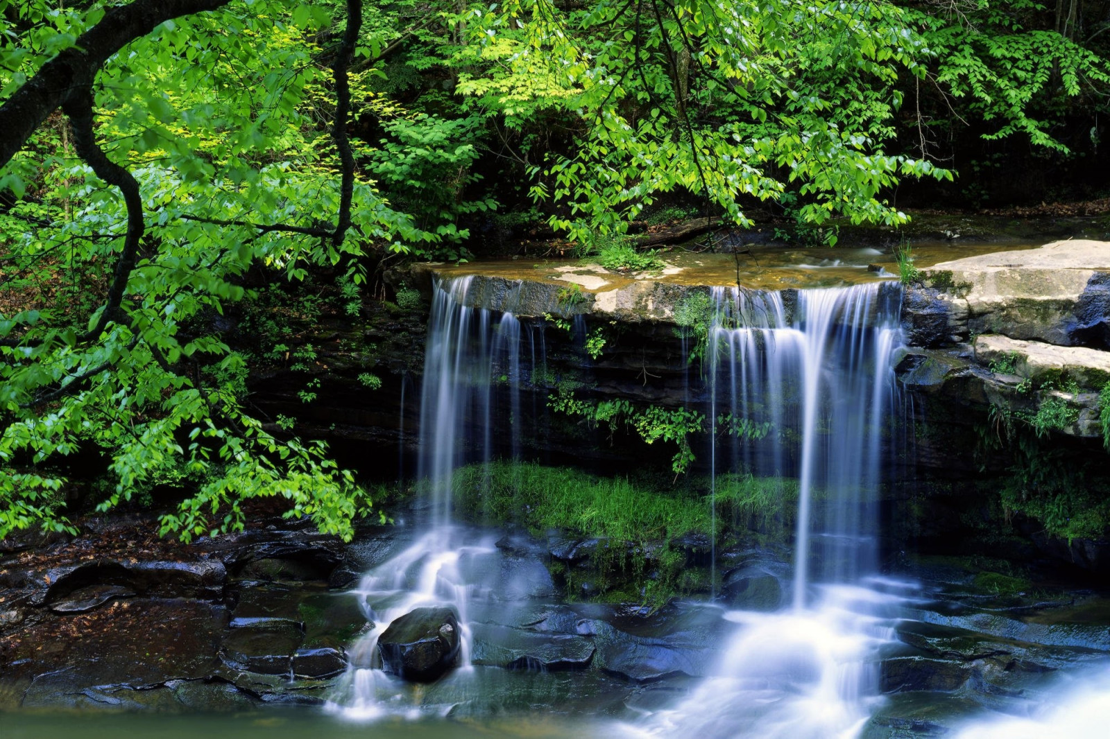 krajina, les, vodopád, moře, voda, Příroda, pláž, řeka, džungle, proud, deštný prales, strom, vodní tok, zálesí, Wasserfall, tělo z vody, vodní prvek