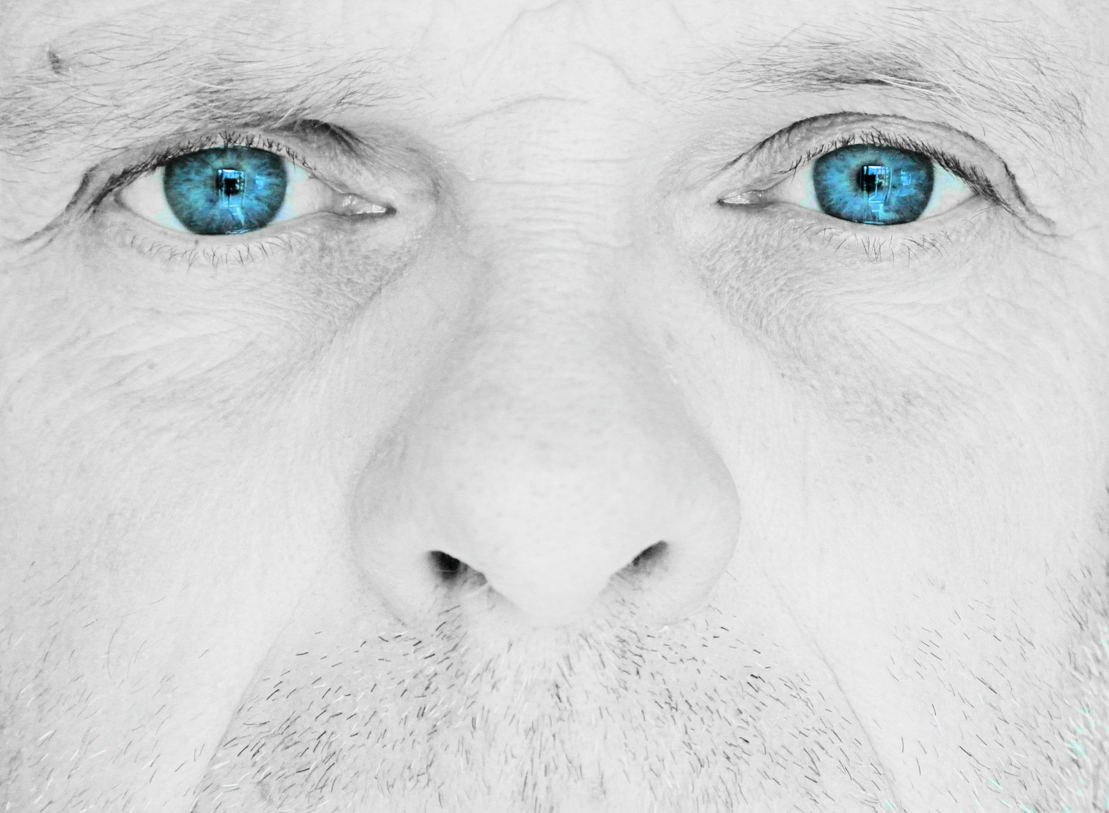 tvář, výkres, bílý, ilustrace, černobílý, portrét, oči, modrý, Nikon, nos, Osoba, hlava, oko, modré oči, CJS, craigsunter, cjs64, selectivecolour, skica, Černý a bílý, monochromatické fotografování, Lidské tělo, orgán, zblízka, nikon1, j2, olblueeyes, oldblueeyes