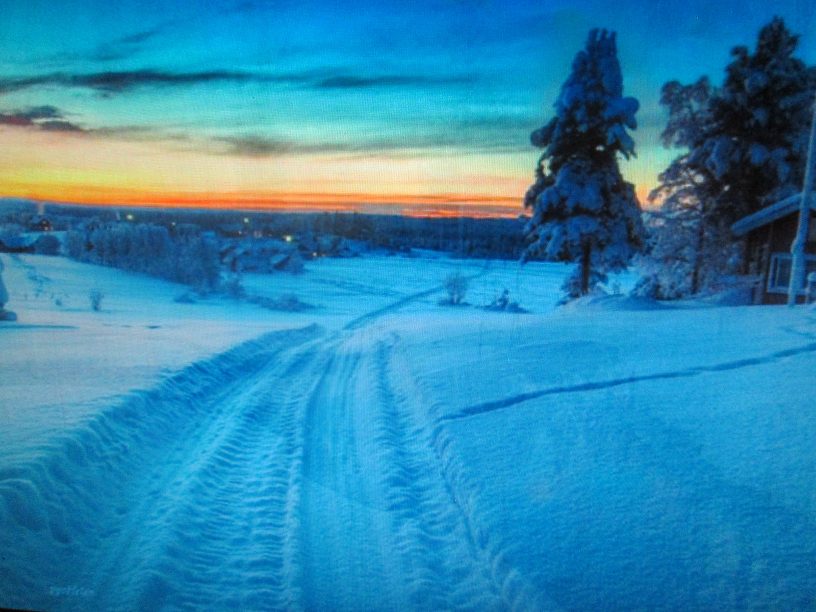 Árvores, inverno, dom, neve, natureza, brilho do sol, Cânone, estação, Chanelchat, Infinita exposição