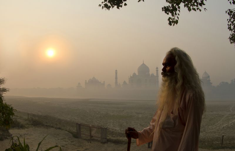 albero, cielo, mattina, paesaggio, immagine dello schermo