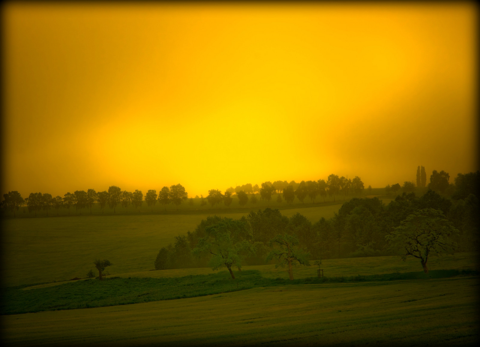 slunečnímu záření, les, západ slunce, kopec, Příroda, nebe, pole, dřevo, svítání, žlutý, večer, ráno, Německo, mlha, slunce, horizont, atmosféra, prach, soumrak, UMĚNÍ, mrak, strom, mlha, svítání, prostý, tvořivý, theperfectphotographer, theunforgettablepictures, bestcapturesaoi, platinumphoto, artofimages, thebestofday, g n neniyisi, Oberberg, prérie, the4elements, venkov, atmosférický jev, landscap0e
