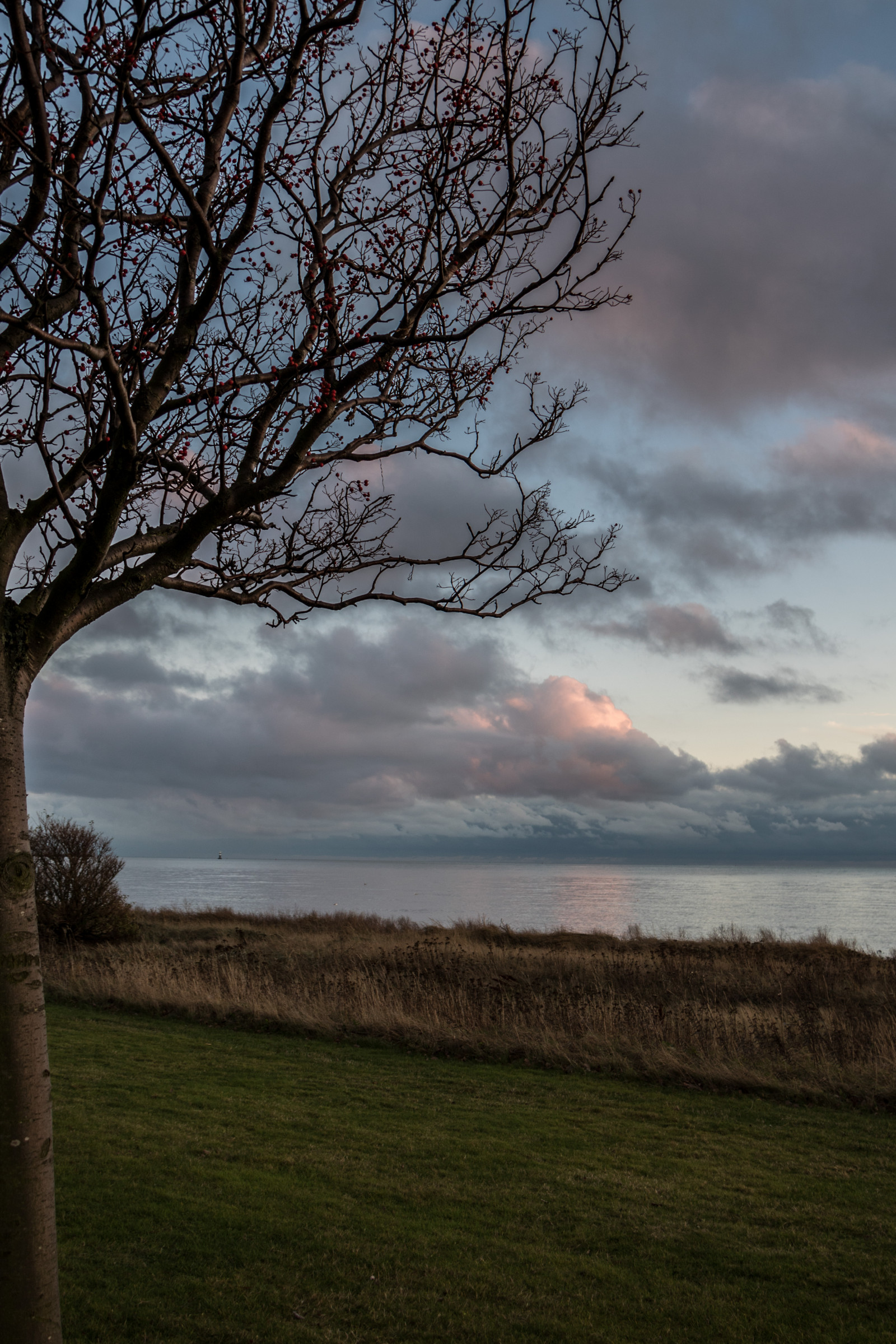 slunečnímu záření, krajina, západ slunce, moře, kopec, Příroda, tráva, nebe, pole, svítání, večer, ráno, mlha, pobřeží, horizont, soumrak, mrak, strom, podzim, list, svítání, lučina, rostlina, nebe, solnedg ng, tr d, hav, moln, Trelleborg, kust, exif modelu canoneos760d, geocountry, Kamera aby kánon, geocity, Model fotoaparátu canoneos760d, geostate, geolocation, EXIF čočka efs18200mmf3556is, exif aby kánon, EXIF isospeed 100, exif focallength 24mm, EXIF otvor 50, louka, prostý, prérie, venkov, místo výskytu, atmosférický jev, dřevina, meteorologický jev