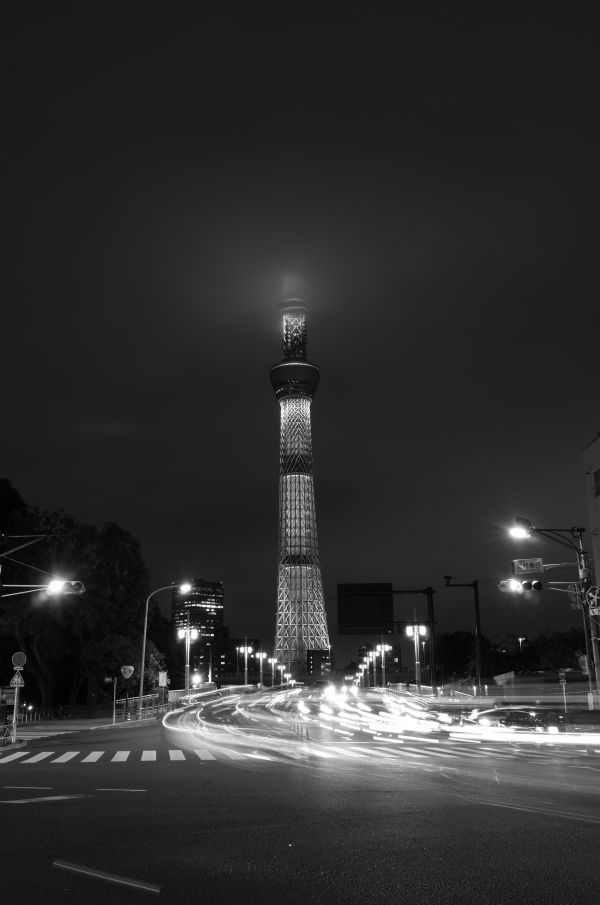 Japan,black,monochrome,city,cityscape,street light