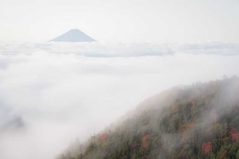 kabut, alam, pegunungan, pemandangan, putih kabut, alam, pegunungan, pemandangan, putih