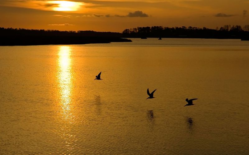 sinar matahari, pemandangan, matahari terbenam, laut, teluk, danau sinar matahari, pemandangan, matahari terbenam, laut, teluk, danau
