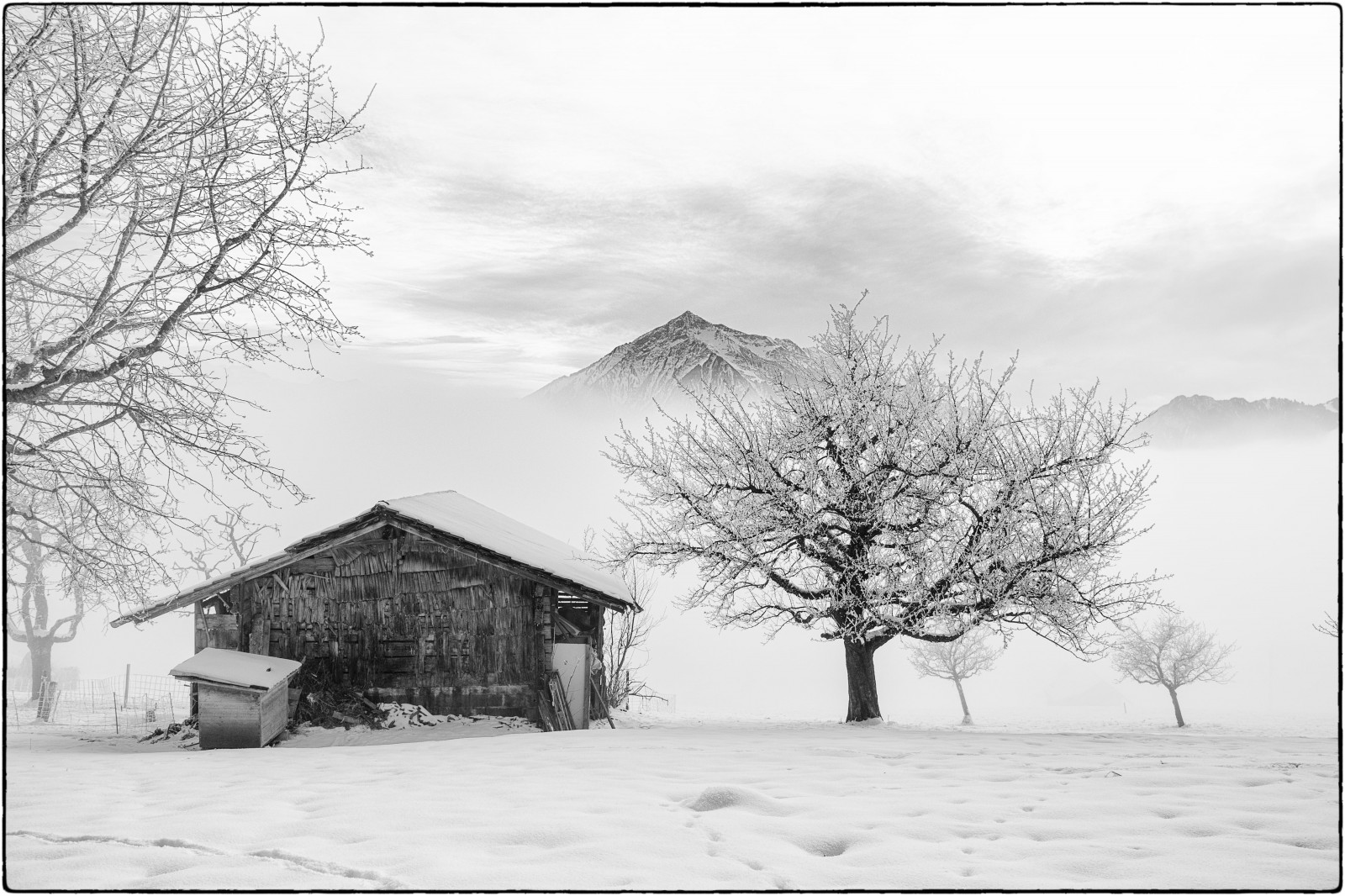 træer, tegning, hvid, bjerge, monokrom, sne, vinter, fotografering, hus, rime, træ, vejr, sæson, sort hvid, natur, fotografi, hjem, schwarzweiss, Schnee, Berge, b ume, skitse, Nebel, landdistrikt, atmosfærisk fænomen, sort og hvid, monokrom fotografering, raureif, fogmist, berneroberland, Niesen