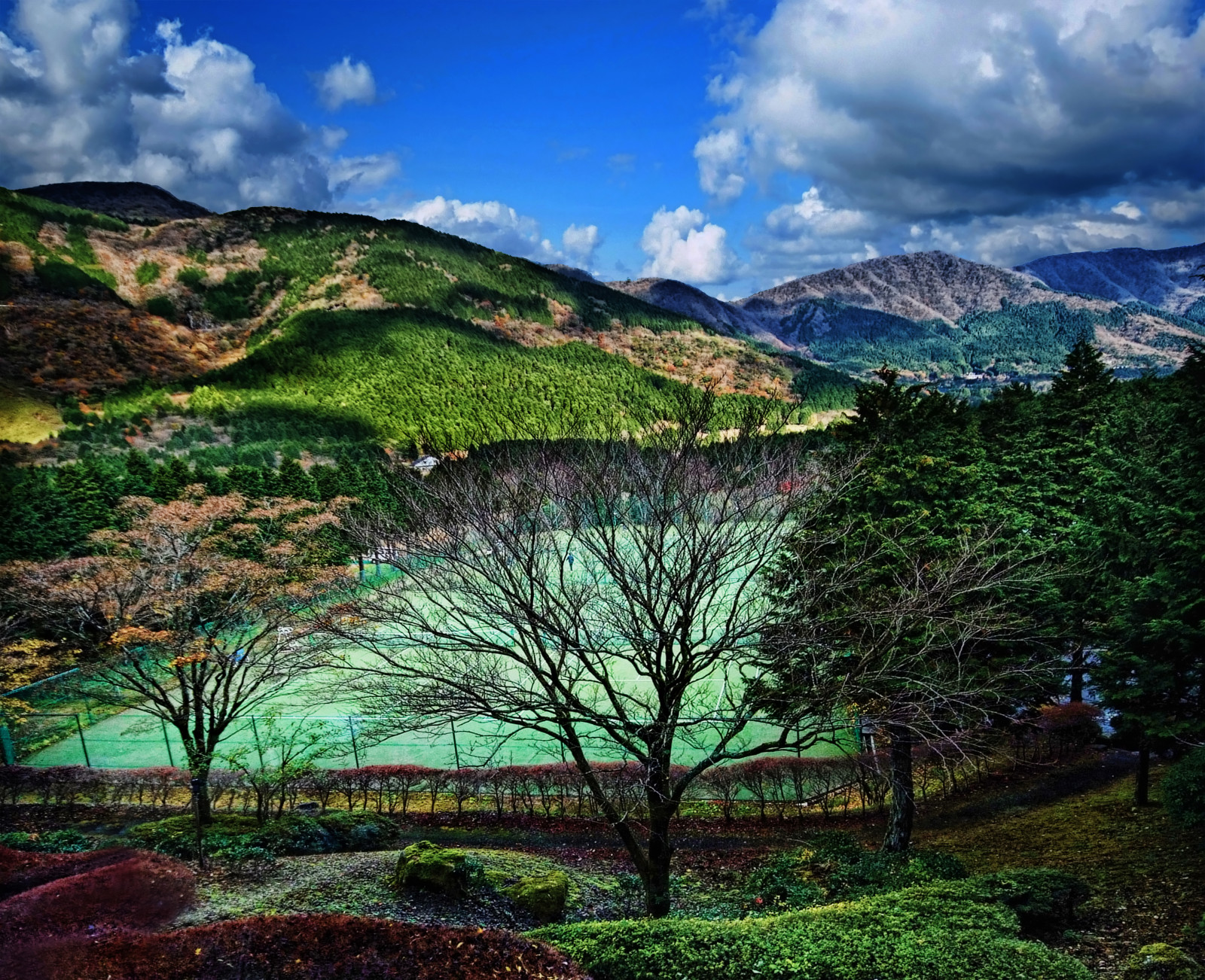 hory, Cestovní ruch, sport, Japonsko, krajina, hotel, volný čas, country klub, Kanagawa, atrakce, tenisový kurt, naturetrees, daihakone