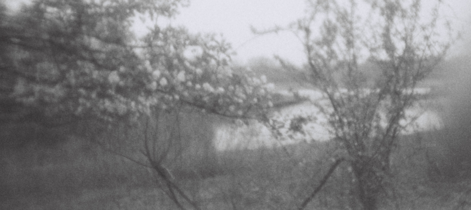 tělesné, panoráma, bílý, jezero, rostlina, Černá, film, voda, analogový, 35MM, lomo, Lomography, květ, raketa, melancholie, zrnitý, ozubené kolečko, Dvojité, sprocketrocket