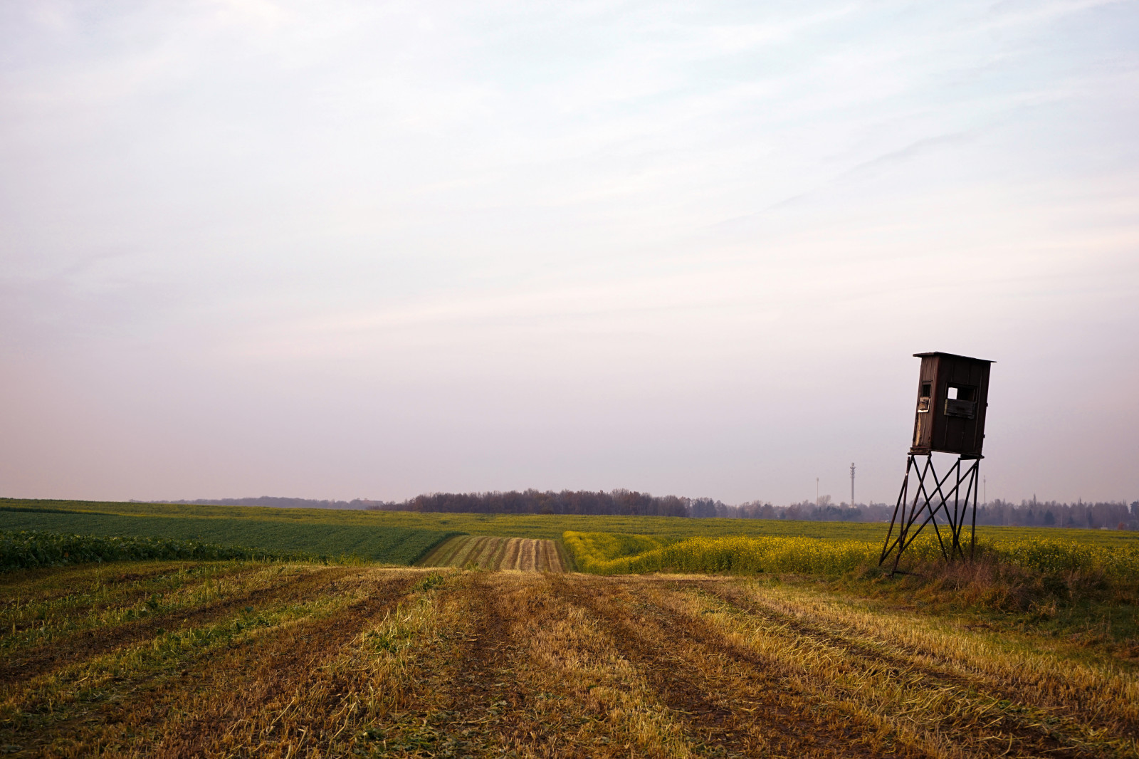starý, západ slunce, věž, textura, žlutý, zlatý, dřevěný, sama, pšenice, horizont, že jo, Prvky, komora, tajemný, daleko, daleko, dlouho