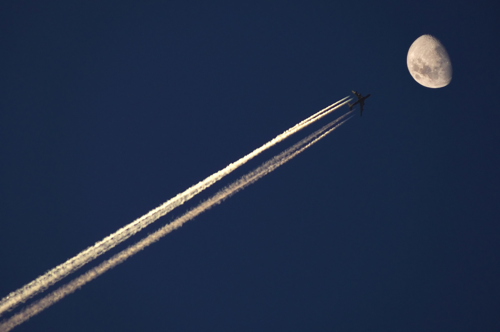 blu, deleteme5, deleteme8, cielo, Luna, deleteme2, deleteme3, deleteme4, deleteme6, deleteme9, deleteme7, aereo, saveme4, saveme5, contrail, saveme6, saveme, saveme2, saveme3, deleteme10, diagonale, Deleteme11, deleteme1, Upwardrisediagonal, ralfstockmann, flickrjobdiff