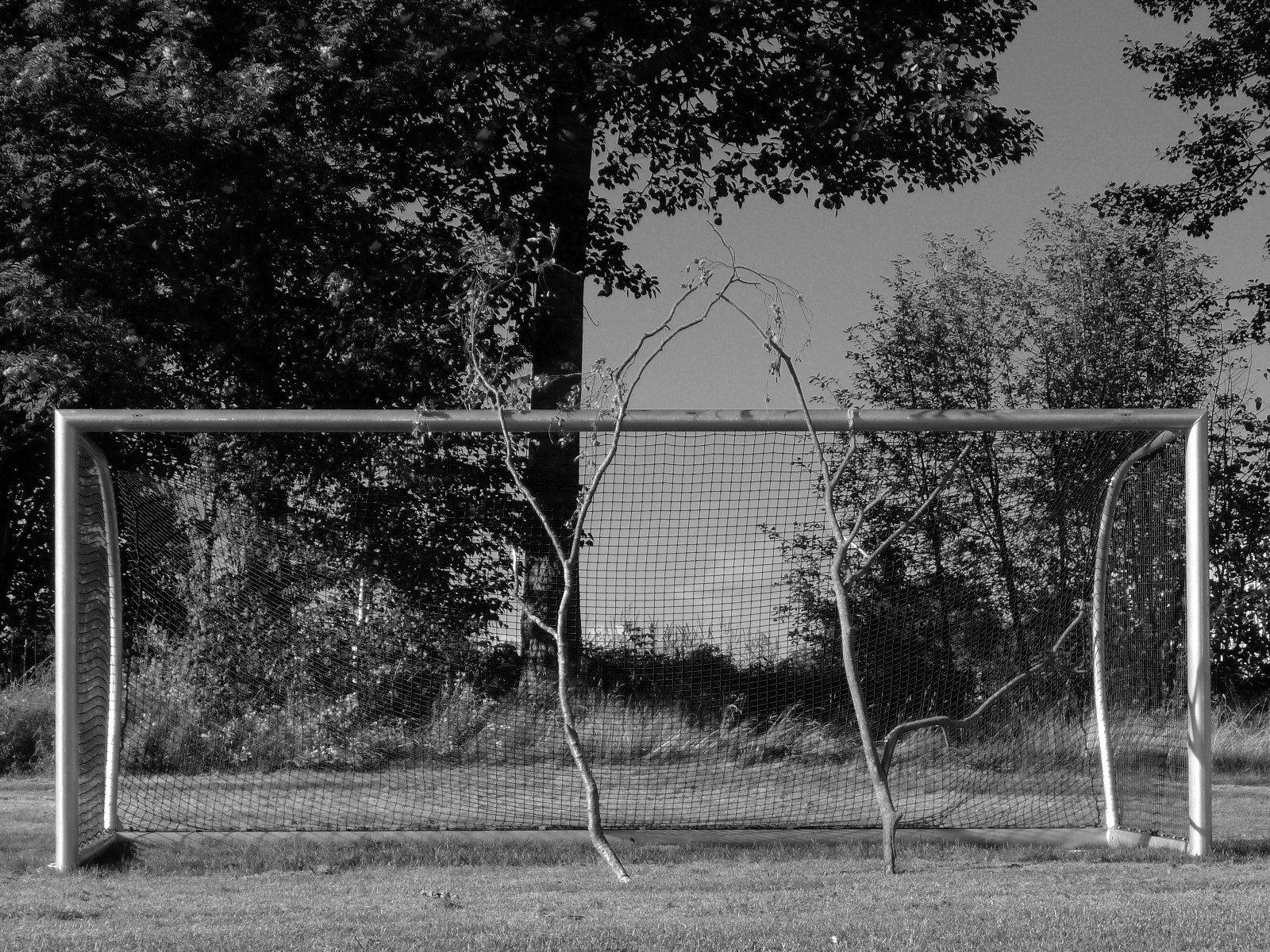 træer, landskab, hvid, sort, monokrom, målmand, Mål, arkitektur, natur, græs, himmel, parkere, fotografering, afdeling, hus, fodbold, hegn, struktur, vinkel, træ, areal, plante, bw, net, fodbold, linje, LX5, rekreation, sort og hvid, monokrom fotografering, vedplante, boligområde, udendørs struktur, trådhegn, offentlige rum, panasonicdmclx5