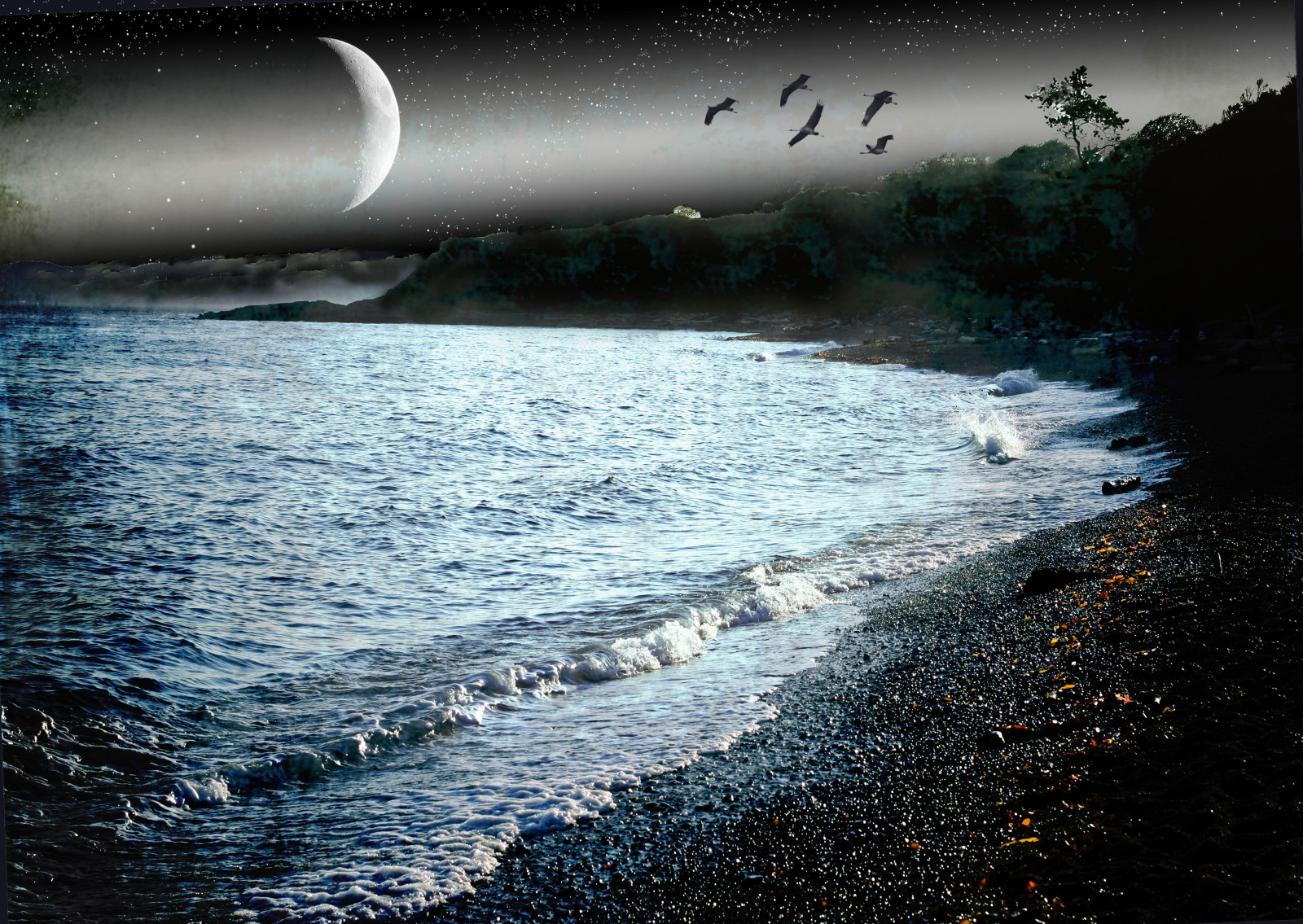 luce del sole, paesaggio, mare, città, baia, acqua, riflessione, spiaggia, Luna, Turismo, onde, costa, orizzonte, atmosfera, Canada, estate, canadese, Silenzioso, pace, Pacifico, leggero, nube, viaggio, oceano, onda, avanti Cristo, baia, oscurità, tranquillo, artistictreasurechest, National Geographic, Isola di Vancouver, zedzap, victoriabc, atmosfera della terra, vento onda, miasexcellence