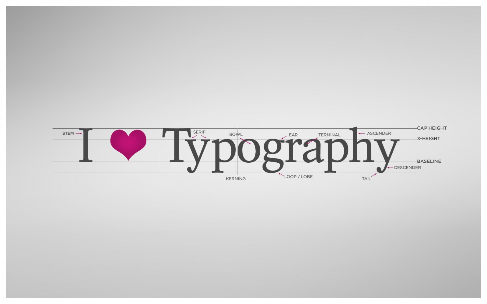 Wallpaper white, love, typography, text, logo, brand, calligraphy