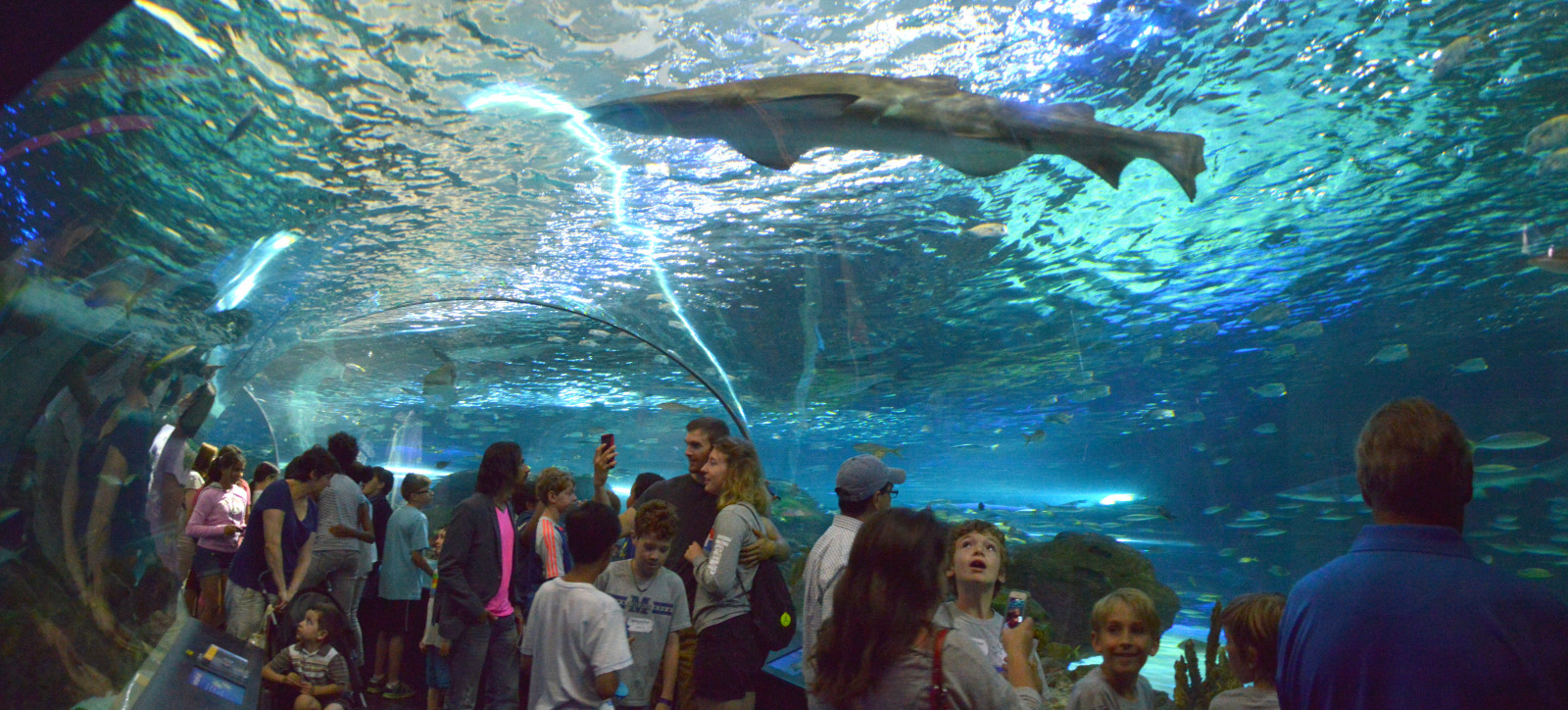 Wallpaper light, people, Toronto, Ontario, Canada, water, aquarium