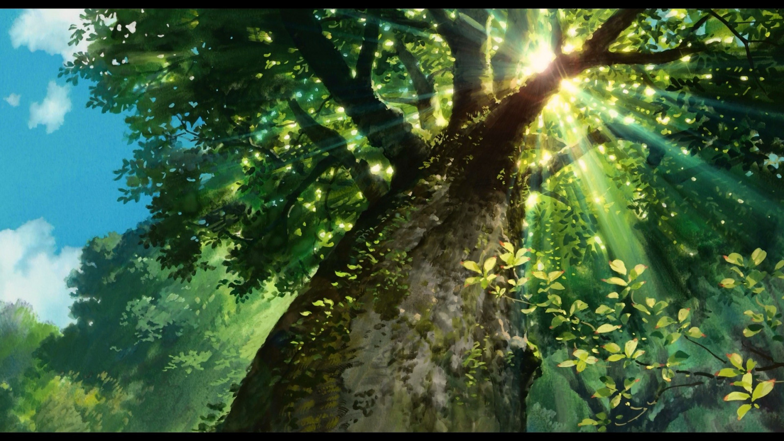 Sonnenlicht, Bäume, Landschaft, Wald, Anime, Natur, Ast, Grün, Dschungel, Regenwald, Baum, Blatt, Vegetation, Bildschirmfoto, Wald, Lebensraum, natürlichen Umgebung, Holzige Pflanze, Ökosystem, Biome, Kofferraum, Alter waldwald, Abscheulich