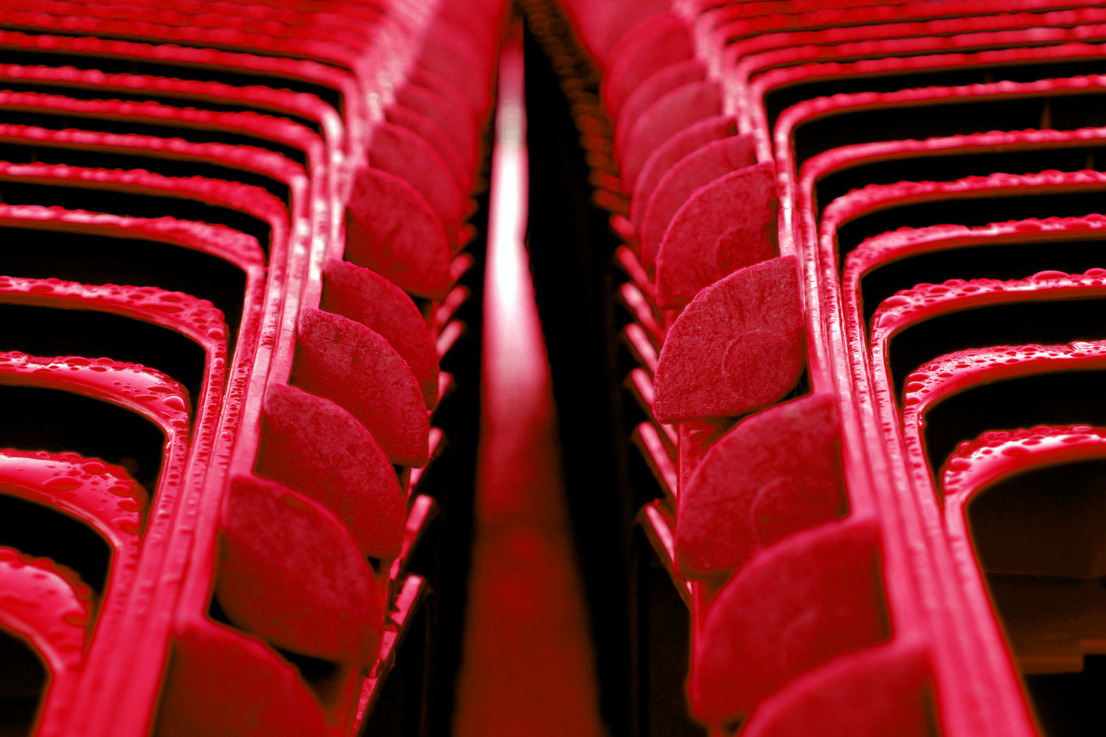 Černá, Červené, déšť, růžový, 2013, barva, židle, čára, rosso, trouchnivění, střevíc, obuv, Pioggia, zblízka, makro fotografie, sedie, Chiavari, Royo, encarnado