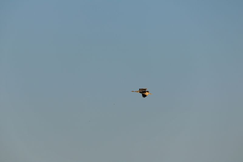 céu,Voar,veículo,avião,Avião,força do ar