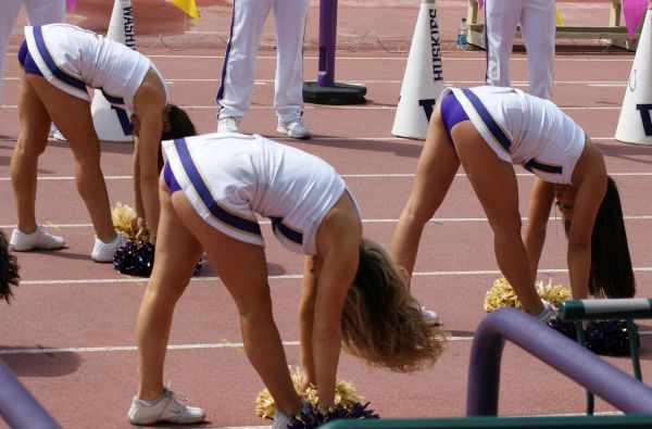 college,uw,washington,cheerleaders,huskies,bloomers