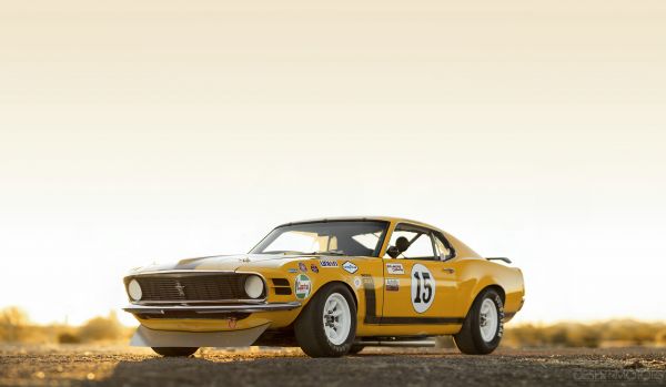 Ford Mustang,yellow cars,race cars,muscle cars,livery,desert