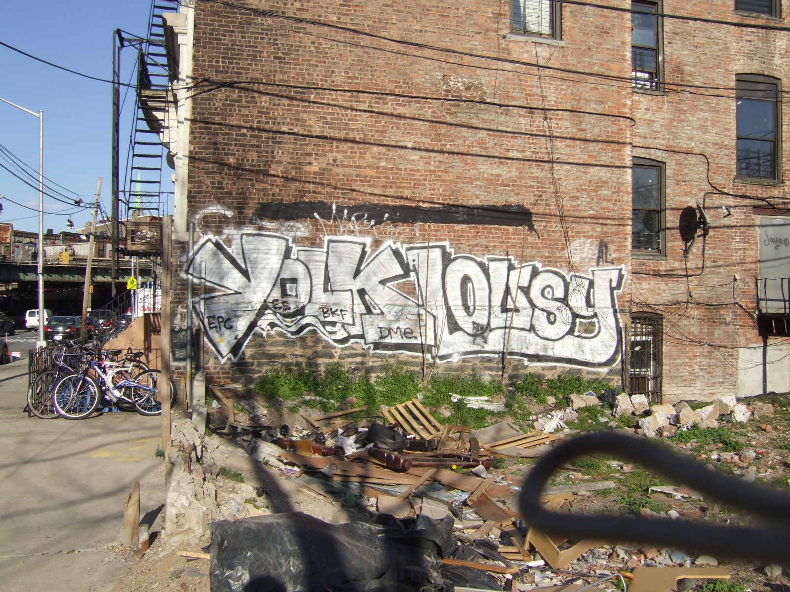 Wallpaper nyc, Smart, Brooklyn, graffiti, egg, Crew, marty, bushwick