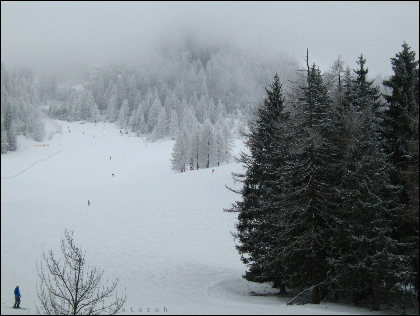 แนวนอน, ป่า, กีฬา, ทะเลสาบ, ท้องฟ้า, หิมะ, ฤดูหนาว, สาขา, น้ำแข็ง, เช้า, หมอก, น้ำค้างแข็ง, เรียบร้อย, ออสเตรีย, ต้นสน, Salzburg, การแช่แข็ง, ต้นสน, เอเวอร์กรีน, สกี, เมฆ, ต้นไม้, หมอก, ภูเขา, เทือกเขา, ไม่ได้, Invierno, ต้นสน, สกี, พายุหิมะ, Osterreich, ดำและขาว, ไม้ยืนต้น, ปรากฏการณ์ทางธรณีวิทยา, เทือกเขา, สถานีเนินเขา, ธรณีสัณฐาน, พายุฤดูหนาว, สนครอบครัว, ปรากฏการณ์, เนรเทศ, zauchensee, spruce fir forest