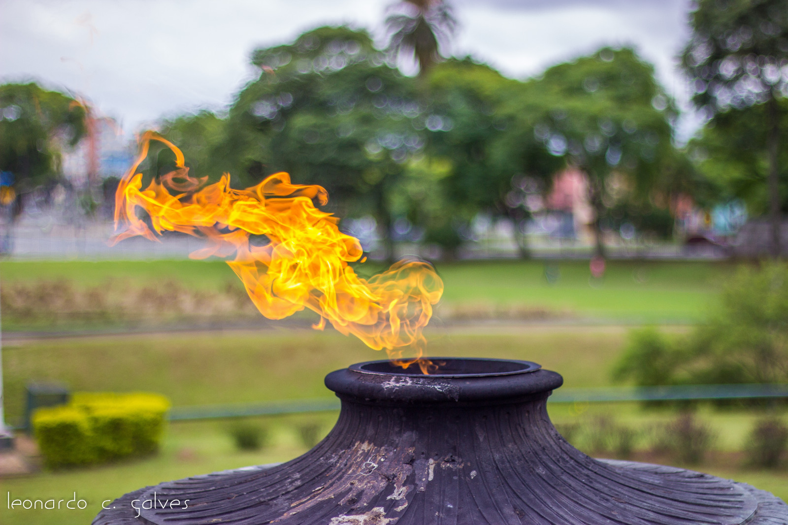 Brazílie, Brasil, Kánon, oheň, 50mm, Museu, Sao Paulo, SAMPA, sp, 18, T3i, museudoipiranga, brasilemimagens