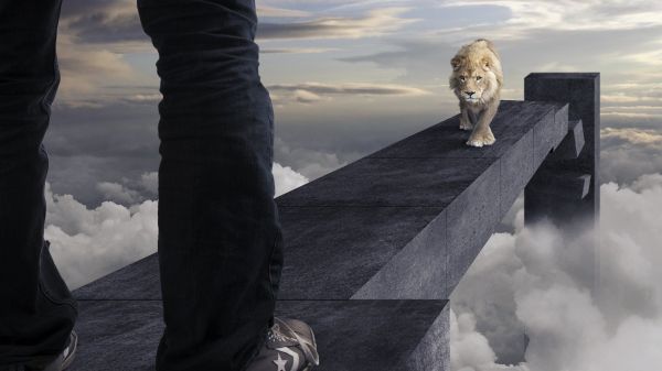 2560x1440 px,animals,clouds,digital art,legs,lion