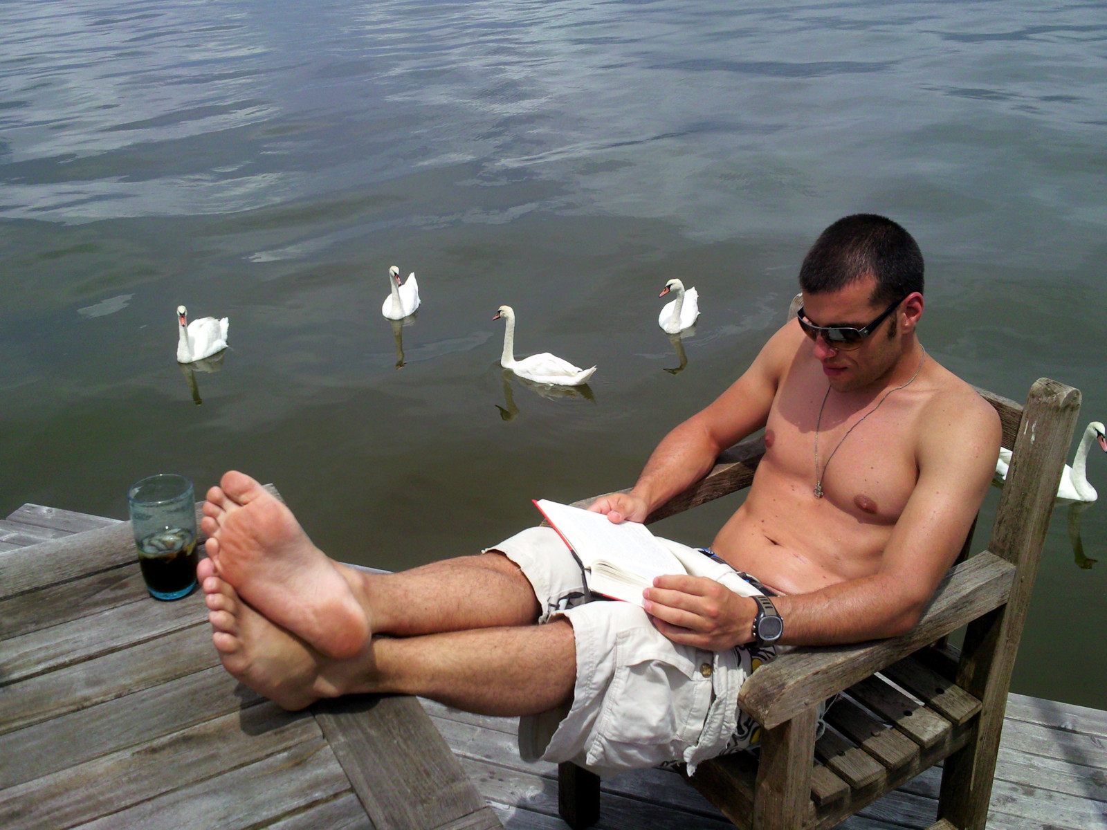 fotoaparátem, bez trička, sexy, Nohy, čtení, prsty, bradavky, červenec, dlouhý ostrov, labutě, CreativeCommons, relaxace, izraelský, Fireisland, 2010, hotguy, Greatsouthbay, Fireislandpines, Bydavidshankbone, Samsungmemoir