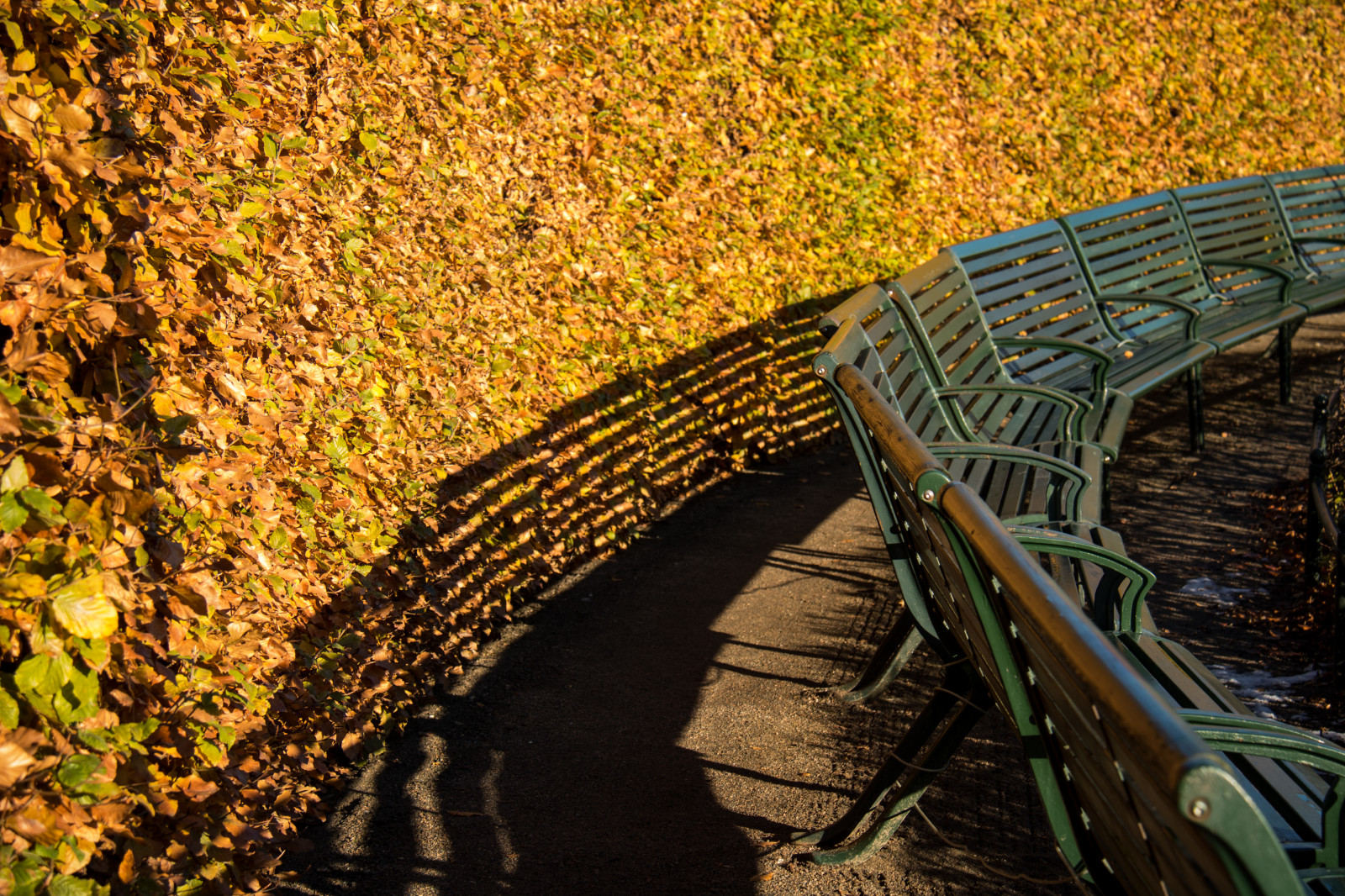 แสงแดด, ป่า, ธรรมชาติ, การสะท้อน, หญ้า, จอด, ม้านั่ง, สะพาน, ธนาคาร, ต้นไม้, ฤดูใบไม้ร่วง, ใบไม้, ฤดู, มัลโม, pildammsparken, ติดตาม, โครงสร้าง nonbuilding