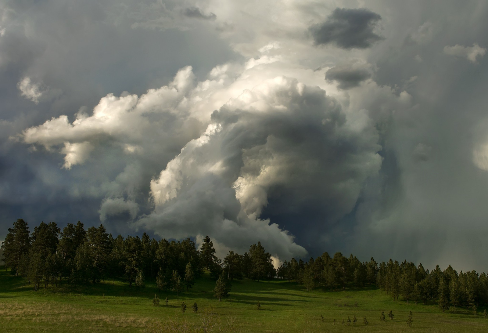 træer, Skov, natur, græs, himmel, Mark, skyer, storm, atmosfære, Sky, vejr, græsarealer, tordenvejr, almindeligt, prærie, meteorologisk fænomen, cumulus, 2048x1397 px