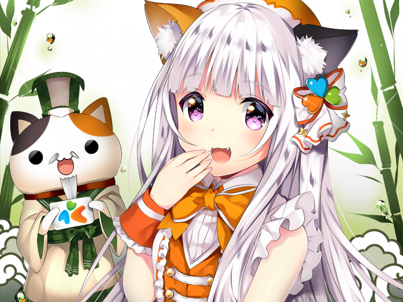 capelli lunghi, capelli bianchi, anime, anime girls, illustrazione, nekomimi capelli lunghi, capelli bianchi, anime, anime girls, illustrazione, nekomimi