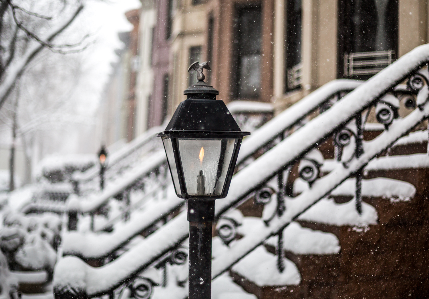 bílý, ulice, panoráma města, architektura, sníh, zima, historický, Kánon, zmrazení, Brooklyn, plynové světlo, chumelenice, světlo, 50mm, počasí, sezóna, okouzlující, nyc, boháčů, životní styl, sehnout, Park Slope, snowstorm2017, brooklynnyc, městský dům, oldnewyorkcity, oldbrooklyn, parkslopebrooklyn, brooklynarchitecture, historicparkslope
