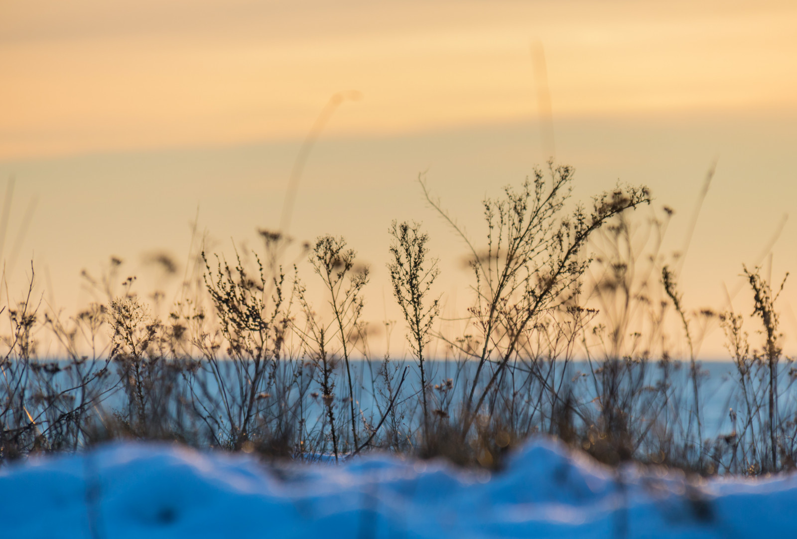 slunečnímu záření, krajina, západ slunce, moře, jezero, voda, Příroda, písek, odraz, tráva, nebe, zima, větev, svítání, večer, ráno, horizont, soumrak, mrak, strom, svítání, sezóna, solnedg ng, hav, dalabadet, místo výskytu, přírodní prostředí, atmosférický jev, tráva rodina